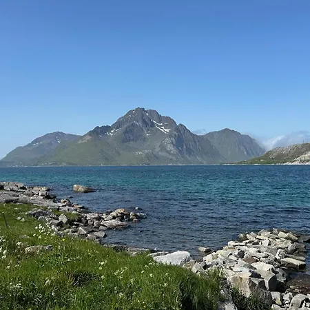 Moderne Rorbu I Lofoten * Gravdal (Vestvagoy)